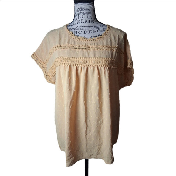 uvn Tops - UVN Small Summer Shirts for Women Short Sleeve Blouses Crewneck Lace Nwt